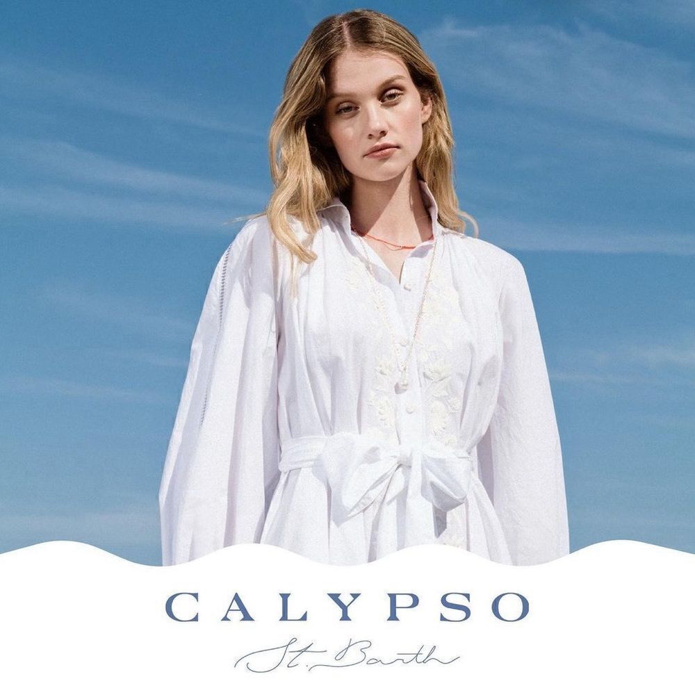 Calypso St. Barth | Abigail Floral Silk-Blend Midi Dress Size L